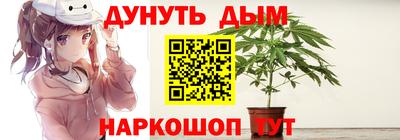 сатива Краснодар