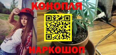 сатива Краснодар