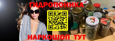крисы Краснознаменск