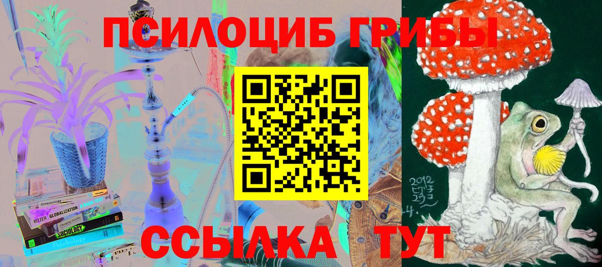 Псилоцибиновые грибы Psilocybine cubensis  Вход с VPN  Котлас 