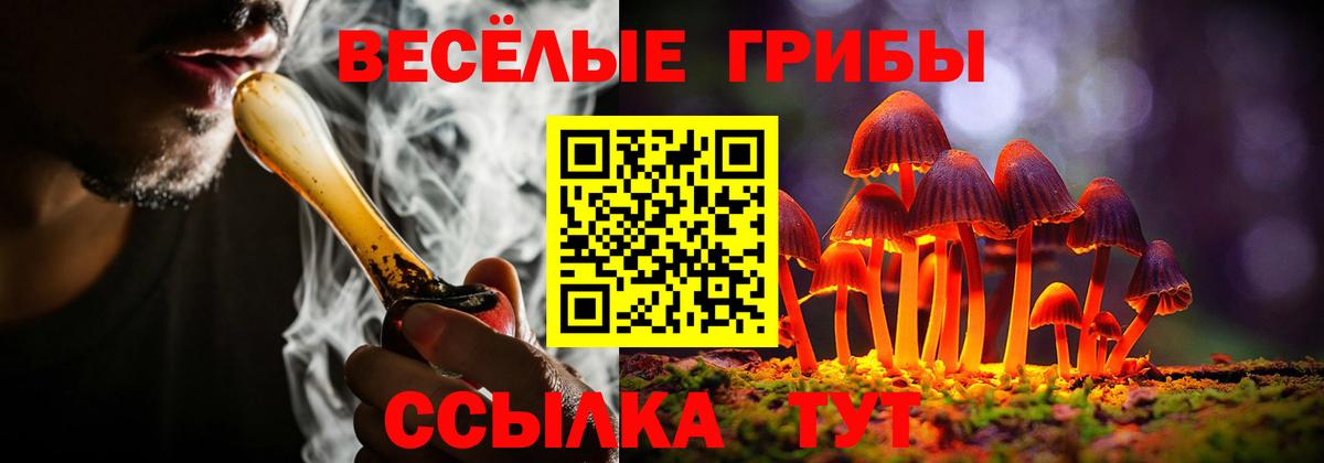 Псилоцибиновые грибы Magic Shrooms Котлас